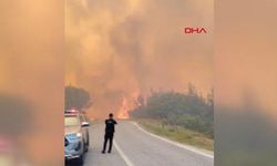 Alevler mahallelere yaklaştı! Tahliye için araçlar hazır ekletiliyor