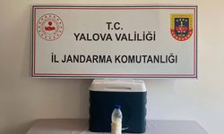 İlk bakışta sıradan görünüyordu! Değeri tam 5 milyon dolar çıktı