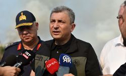 Rüzgar söndürme çalışmalarını zorlaştırıyor: Yangınla mücadele sürüyor