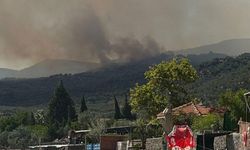 Çanakkale'de arazi yangını