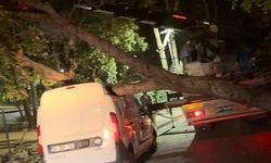Sancaktepe’de fırtınada devrilen ağaç hafif ticari aracın üzerine düştü