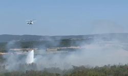 Tekirdağ'da anız yangını ormana sıçradı