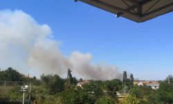 Biga'da korkutan yangın