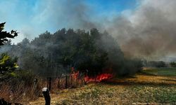 Çanakkale'de ot yangını 1 saatte kontrol altına alındı