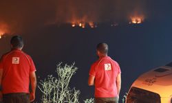 Kızılay'dan yangın bölgelerine aralıksız destek