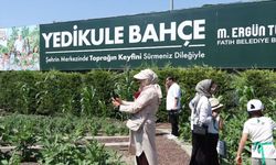 Yedikule Bahçe’de çocuklar meyve ve sebze hasadı yaptı
