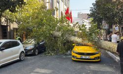 Şişli’de korkutan anlar: Devrilen ağaç 2 aracın üzerine düştü