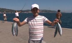 İstanbul’da palamut bereketi: Sarıyer’de kovalar doldu