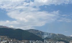 Kahramanmaraş'ta çıkan orman yangını söndürüldü