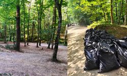 Belgrad Ormanı’nda çöp alarmı: Ekipler harekete geçti