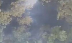 Sındırgı orman yangını 20'nci saate ulaştı