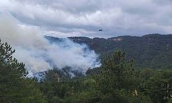 Antalya'daki orman yangını, 22 saatte kontrol altına alındı
