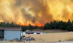 Çanakkale'de orman yangınlarının bilançosu ağır: 541 hektar zarar gördü