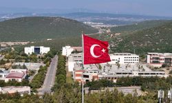 Tersine beyin göçünde İYTE etkisi