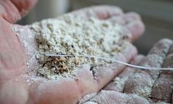 Un fabrikasında dehşete düşüren görüntü