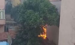 Küçükçekmece'de 4 katlı binada çıkan yangın söndürüldü