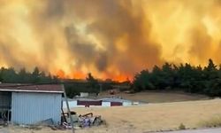 Çanakkale'de orman yangını