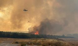 Çanakkale'de orman yangını riskine karşı 3 günlük yasak