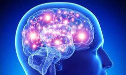 'Yüksek radyasyona maruz kalmak beyinde Alzheimer sürecini tetikleyebiliyor'