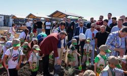 Arnavutköy’de dalından sebze ve meyve toplama deneyimi başladı