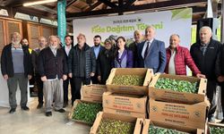 Beykoz’da çiftçilere 625 bin kışlık fide desteği