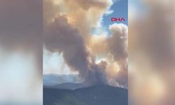 Ankara'da orman yangını