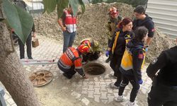 Avcılar’da korku dolu anlar: Rögar kapağı açıldı, 76 yaşındaki kadın içine düştü