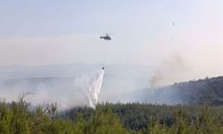 Bayramiç’te alevlerle mücadele: 8 hektar orman zarar gördü