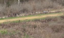 FETÖ bağlantılı göçmen kaçakçılığı şebekesinin yeni görüntüleri ortaya çıktı