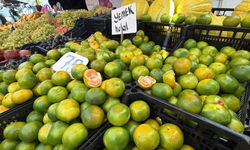 Kışın habercisi meyveler tezgahlarda yerini aldı