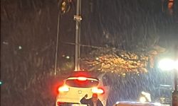 Şiddetli yağış nedeniyle istinat duvarı çöktü