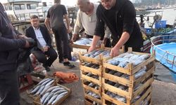 Şile’de palamut bolluğu: Kasası 600 liradan satıldı