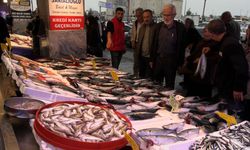 Karadeniz’de palamut göç etmeye başladı; hamsi bolluğu beklentisi