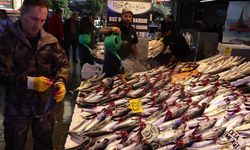 Balıkçıların ağları palamutla doldu: Tanesi 125 liradan satılıyor