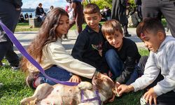 Beykoz Yaşam Festivali renkli görüntülere sahne oldu