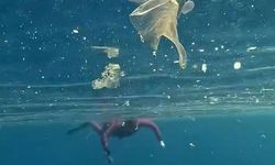 Denizde yüzenlerin çevresi plastik atıklarla doldu