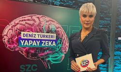 Sözcü TV sunucusu polisten kaçtı, Şişli’de park halindeki araçlara çarptı