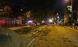 Tramvay çalışmasında ağaç tartışması: Çalışmalar durduruldu
