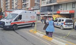 Pendik'te hafriyat kamyonu eczaneye daldı