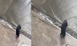 Tıkanan mazgalı açan Remziye teyzeye teşekkür ziyareti