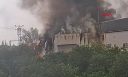 Mersin'de tütün işleme tesisinde yangın