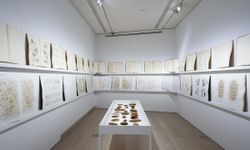 Tayfun Erdoğmuş’un 40 yılı aşkın sanat yolculuğu Arter’de konuşulacak