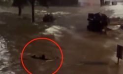 Sarıyer'de göle dönen caddede akıntıya kapılmamak için yüzdü