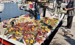 Tekirdağ’da tekneyle denize açılan balıkçılar, 1,5 ton kefal avladı