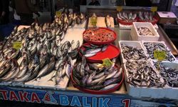 Balık tezgahlarında çeşit bolluğu