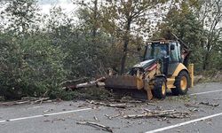 Tekirdağ'da fırtına; ağaç ve telefon direği devrildi