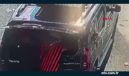 Muğla'da kısırlaştırılmaya götürülen kedinin araç camını kırıp kaçması kamerada