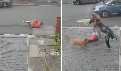 Evinin önünde top oynayan çocuğa köpek saldırdığı anların görüntüsü! Bir anda koşarak üzerine atladı