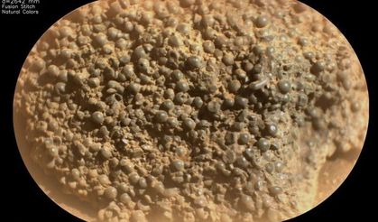 NASA gizemli Mars küreleri keşfetti