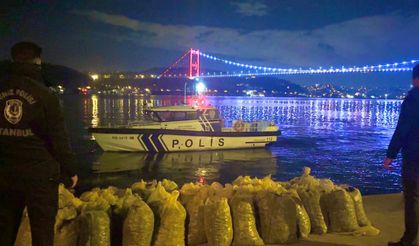 İstanbul’da 2 ton 350 kilogram kaçak midye ele geçirildi